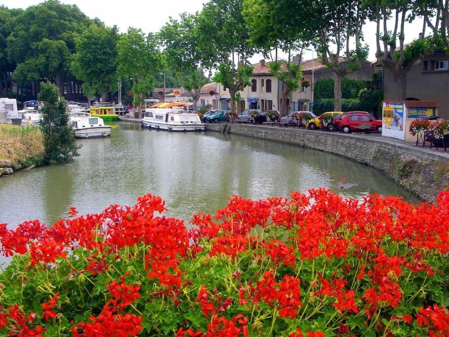 La Casa De Gaelle 2 Daire Trèbes Dış mekan fotoğraf