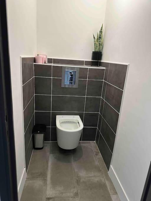 La Casa De Gaelle 2 Daire Trèbes Dış mekan fotoğraf