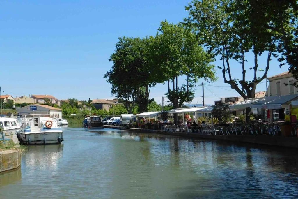 La Casa De Gaelle 2 Daire Trèbes Dış mekan fotoğraf