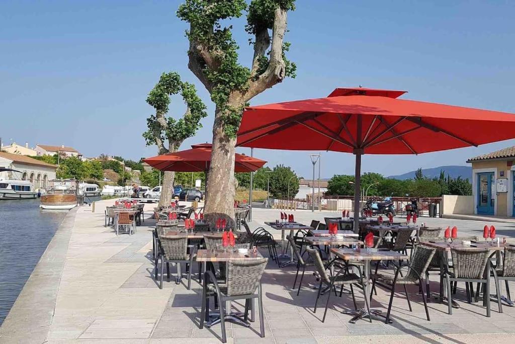 La Casa De Gaelle 2 Daire Trèbes Dış mekan fotoğraf